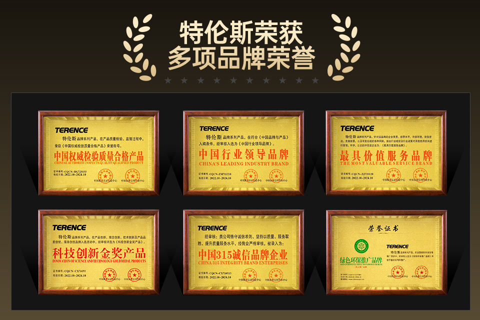 恭喜TERENCE榮獲2023年天貓樂器雙11銷量亞軍！